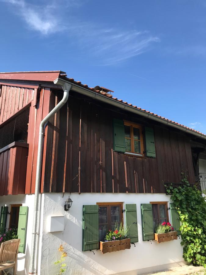 Chalet Alpenrose 施万高 外观 照片