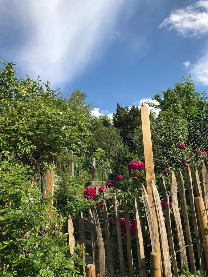 Chalet Alpenrose 施万高 外观 照片